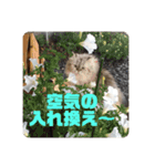 よしむねとじげん②（個別スタンプ：13）