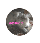よしむねとじげん③感謝編（個別スタンプ：2）
