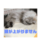 よしむねとじげん③感謝編（個別スタンプ：5）