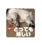 よしむねとじげん③感謝編（個別スタンプ：9）