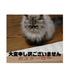 よしむねとじげん③感謝編（個別スタンプ：11）