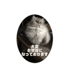 よしむねとじげん③感謝編（個別スタンプ：13）