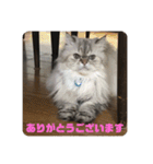 よしむねとじげん③感謝編（個別スタンプ：14）