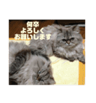 よしむねとじげん③感謝編（個別スタンプ：16）