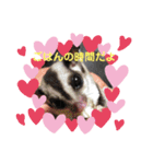 ☆フクロモモンガ☆SugarGliderメイ＆桜☆2（個別スタンプ：7）