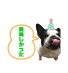 フレンチブル あんちゃん3（個別スタンプ：5）