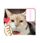 むげトうば(うーちゃんのみver)（個別スタンプ：2）