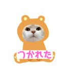 むげトうば(うーちゃんのみver)（個別スタンプ：3）