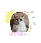 むげトうば(うーちゃんのみver)（個別スタンプ：6）