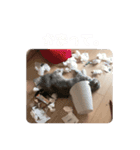 なちばく劇場（個別スタンプ：23）