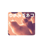 なちばく劇場（個別スタンプ：24）
