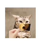 猫の主人が想像する猫の表情（個別スタンプ：2）