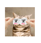 猫の主人が想像する猫の表情（個別スタンプ：5）