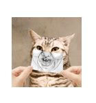猫の主人が想像する猫の表情（個別スタンプ：6）