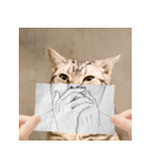 猫の主人が想像する猫の表情（個別スタンプ：7）
