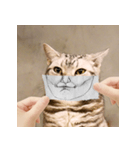猫の主人が想像する猫の表情（個別スタンプ：18）