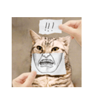 猫の主人が想像する猫の表情（個別スタンプ：19）