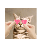 猫の主人が想像する猫の表情（個別スタンプ：20）