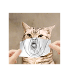 猫の主人が想像する猫の表情（個別スタンプ：24）