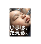 Joji stamp 1（個別スタンプ：8）