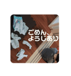 Joji stamp 1（個別スタンプ：16）