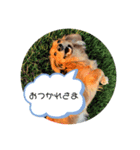 ウォルトとライリーの毎日スタンプ（個別スタンプ：2）