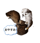 猫フレンズ（個別スタンプ：10）