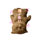 うっちー先生スタンプ（個別スタンプ：3）