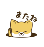 ゆるいきつねスタンプ（個別スタンプ：7）