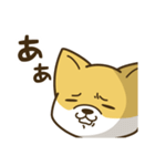 ゆるいきつねスタンプ（個別スタンプ：40）