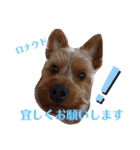 とやま家の愉快な仲間たち（個別スタンプ：10）