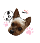 とやま家の愉快な仲間たち（個別スタンプ：14）