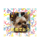 とやま家の愉快な仲間たち（個別スタンプ：20）
