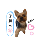 とやま家の愉快な仲間たち（個別スタンプ：27）