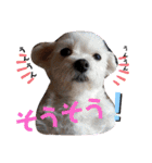 とやま家の愉快な仲間たち（個別スタンプ：28）