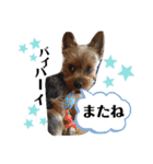 とやま家の愉快な仲間たち（個別スタンプ：33）
