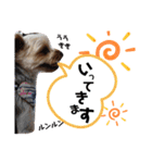 とやま家の愉快な仲間たち（個別スタンプ：34）