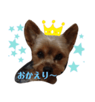 とやま家の愉快な仲間たち（個別スタンプ：37）