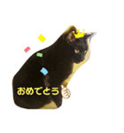 くりん と りぼん（個別スタンプ：6）