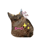 くりん と りぼん（個別スタンプ：8）