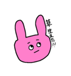 色の濃いウサギ（日常）（個別スタンプ：4）