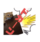 ウチの猫さんたち。（個別スタンプ：7）