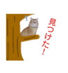 ウチの猫さんたち。（個別スタンプ：13）