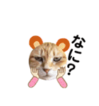 ウチの猫さんたち。（個別スタンプ：19）