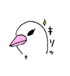 ぶんちょうさんのわかちゃま（個別スタンプ：8）