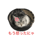 ごめん寝、おふくさん2（個別スタンプ：3）