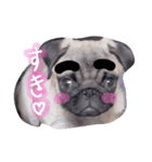 boo_2019（個別スタンプ：3）
