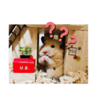 犬 猫 ハムスターのスタンプ2（個別スタンプ：8）