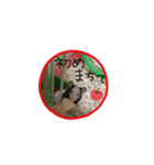 パンダマウス2（個別スタンプ：1）