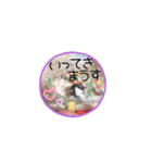パンダマウス2（個別スタンプ：4）